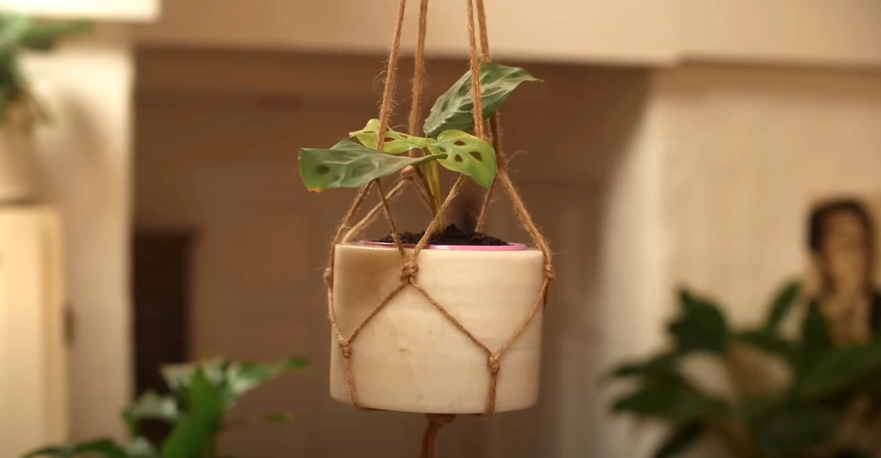 A homemade plant-hanger made with jute rope